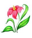 Decorative bright pink flower with green leaves.