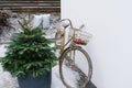 A decorative bronze Bicycle with a basket containing Christmas balls stands near the Christmas tree on the winter street near the