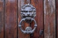 Decorative bronze handle in the form of a lion's head on a vintage door knocks on a wooden door Royalty Free Stock Photo