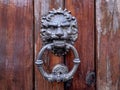 Decorative bronze handle in the form of a lion's head on a vintage door knocks on a wooden door Royalty Free Stock Photo
