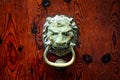 Decorative bronze lion head door knob Royalty Free Stock Photo