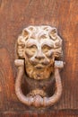 Decorative bronze lion head door knob Royalty Free Stock Photo