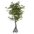 Decorative bush tree