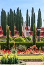 Decorative bushes trimmed and shaped flowers planted Royalty Free Stock Photo