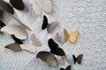 Decorative butterflies on the background of the wall in the building Royalty Free Stock Photo
