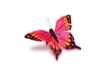 Decorative butterfly