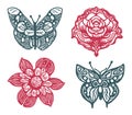 Decorative butterfly single clip art set. Vintage vector botanical flower icon group for eco beauty. Illustration of