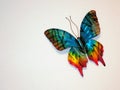 Decorative butterfly on wall