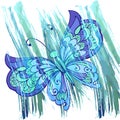 Decorative butterfly with watercolor background color indigo. Hand draw