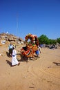 Decorative camel for rental