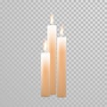 Decorative candle white pearl color vector