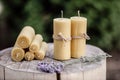 Decorative candles made of beeswax. Group bee candles.