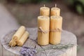 Decorative candles made of beeswax. Group bee candles.