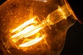 Decorative carbon filament bulb light