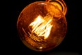 Decorative carbon filament bulb light