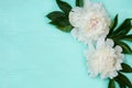 Decorative card with white peonies flowers