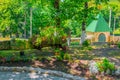 Decorative cart in a green garden in flowers and greenery