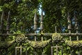 Decorative cast-iron fence. Royalty Free Stock Photo
