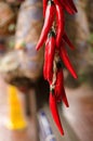 Decorative ceramic red hot peppers on a rope