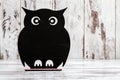 Decorative Chalkboard for Writing with Owl Shape
