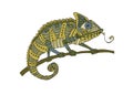 Decorative chameleon on the branch, flat design. Vector illustration, isolated