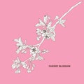 Decorative cherry blossom