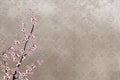 Decorative cherry tree and chinese pattern filigre