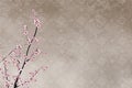 Decorative cherry tree and chinese pattern filigre