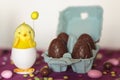 Decorative chick and egg carton with chocolate eggs on colorful table Royalty Free Stock Photo