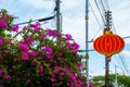 Decorative Chinese lantern hanging on the electric pole and purple flowers. Miri, Borneo, Sarawak, Malaysia Royalty Free Stock Photo