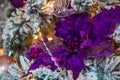 Decorative Christmas composition. Large purple flowers and coniferous branches covered with artificial snow. Cloth