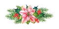 Decorative Christmas element with watercolor poinsettia flower, holly with berries and pine tree Royalty Free Stock Photo