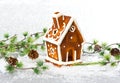 Decorative christmas gingerbread house