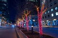 Decorative Christmas lights