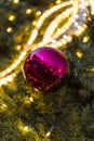 Decorative christmas ornaments baubles on green evergreen branches of a coniferous tree at the christmas markets in Prague Royalty Free Stock Photo