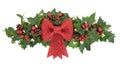 Decorative Christmas Spray Royalty Free Stock Photo