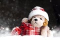 Decorative Christmas toy-dog, gifts in the snow Royalty Free Stock Photo