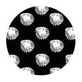 Decorative circle with white astray flowers on a black background for your designs and ideas
