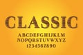 Decorative classic Font and Alphabet vector