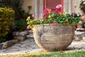 Decorative clay flower pot in front of house with red flowers Royalty Free Stock Photo