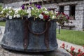 Decorative clay pot with beautiful flowers Royalty Free Stock Photo