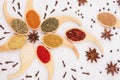 Decorative colorful christmas ornament of multicolored asian spices and anise star, clove on white wooden background. Royalty Free Stock Photo