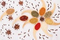 Decorative colorful flower ornament of multicolored asian spices and anise star, clove on white wooden background. Royalty Free Stock Photo