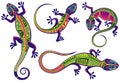 Decorative Lizard icons set Royalty Free Stock Photo