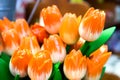 Decorative colorful tulips Royalty Free Stock Photo