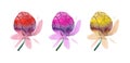 Colourful hand painted watercolor flowers with clipping mask Royalty Free Stock Photo