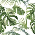 Decorative composition with monstera leaves and palm trees.