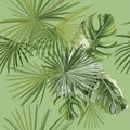 Decorative composition with monstera leaves and palm trees.