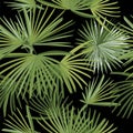 Decorative composition with palm leaves. Design for textile printing, background, wrapping paper.