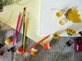 Top view, autumn, summer installation on a white canvas of art materials, fresh flowers and fruits, light background Royalty Free Stock Photo